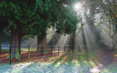 Ways to stay healthy during winter