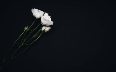 Sudden infant death (cot death)
